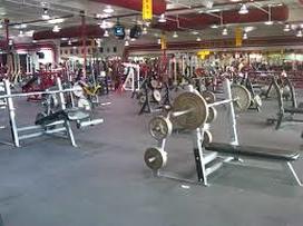 silverback strength gym